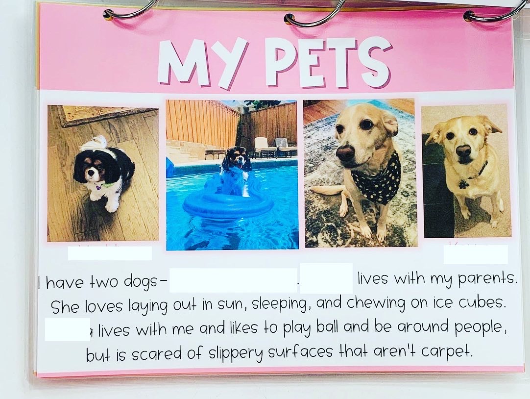 All About My Teacher- My Pets page